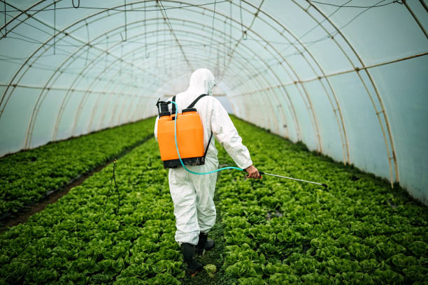 Reliable Remsenburg Speonk, NY Pest Control Solutions